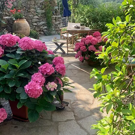 Bed and breakfast Ca De Badin