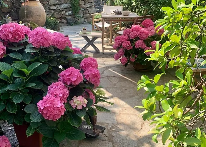 Bed and breakfast Ca De Badin